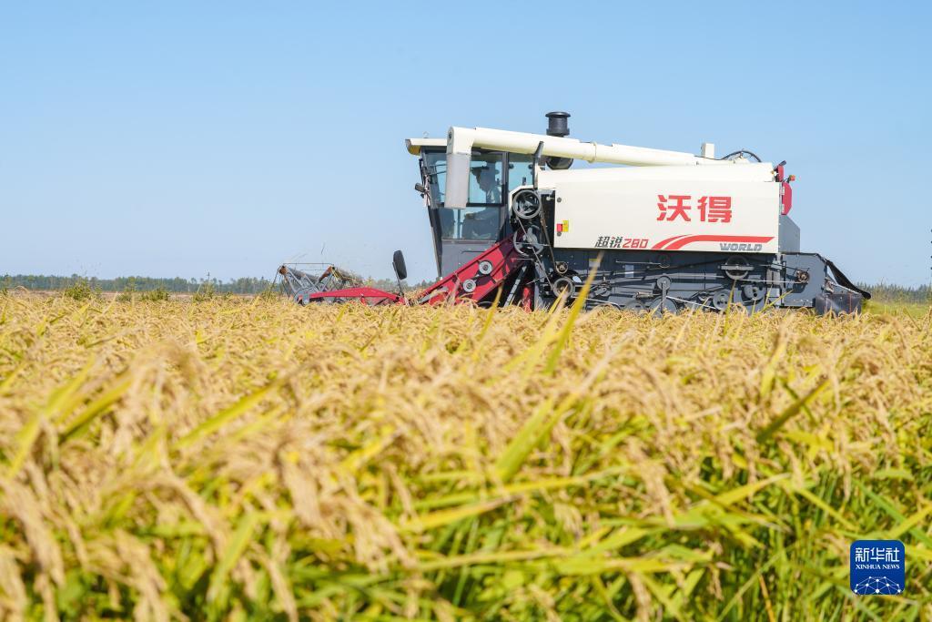 24小时在线电玩城